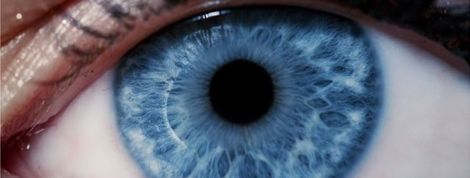 actu_22849_vignette actu_22849_vignette