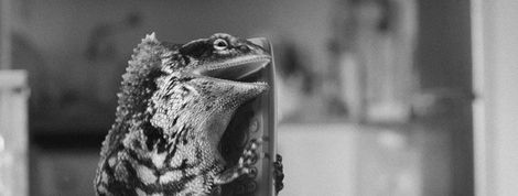 actu_22919_vignette actu_22919_vignette