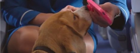 actu_22930_vignette actu_22930_vignette