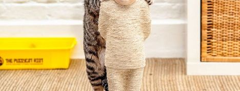 actu_23072_vignette actu_23072_vignette