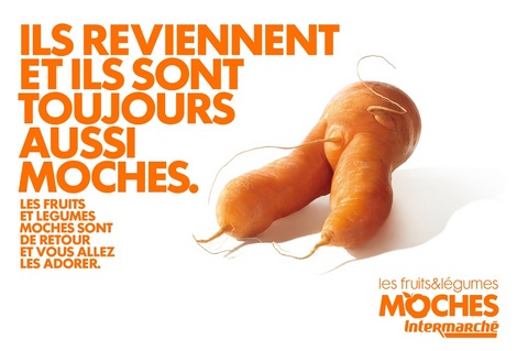 actu_23229_vignette actu_23229_vignette