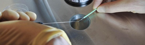 actu_23260_vignette actu_23260_vignette