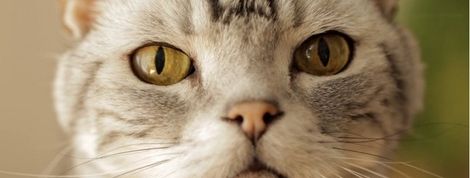 actu_23409_vignette actu_23409_vignette