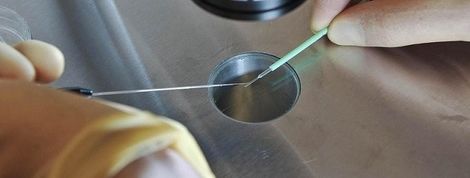 actu_23478_vignette actu_23478_vignette