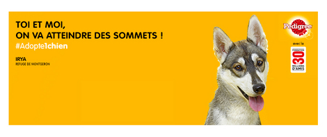 actu_23587_vignette actu_23587_vignette