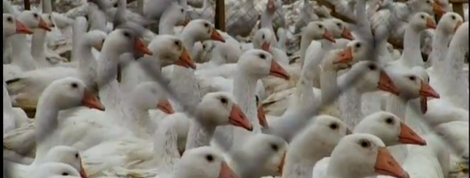 actu_23654_vignette actu_23654_vignette