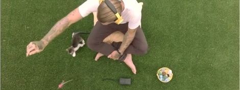 actu_23713_vignette actu_23713_vignette