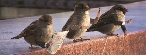 actu_23754_vignette actu_23754_vignette