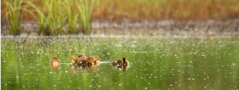 actu_23927_vignette actu_23927_vignette