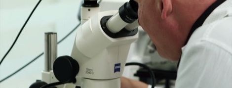 actu_23960_vignette actu_23960_vignette