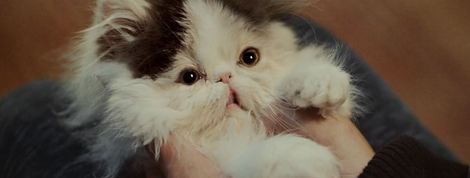 actu_24056_vignette actu_24056_vignette