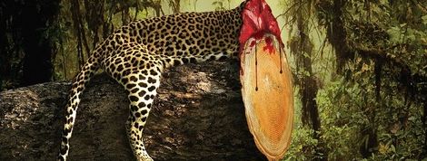 actu_24095_vignette actu_24095_vignette