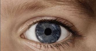 actu_24100_vignette actu_24100_vignette