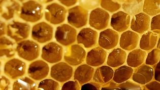 actu_24120_vignette actu_24120_vignette