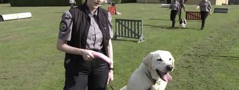 actu_24121_vignette actu_24121_vignette