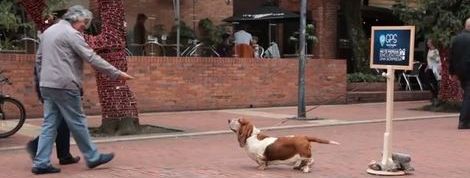 actu_24306_vignette actu_24306_vignette