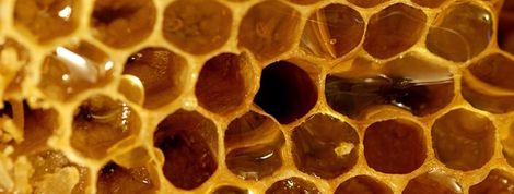 actu_24366_vignette actu_24366_vignette