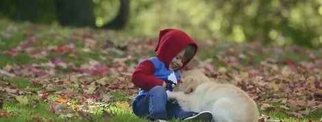 actu_24446_vignette actu_24446_vignette