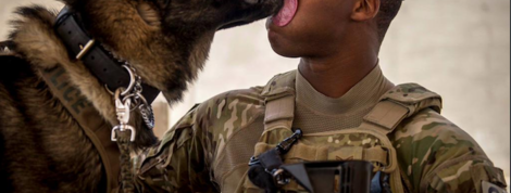 actu_24458_vignette actu_24458_vignette