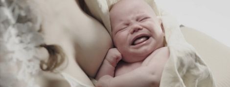 actu_24532_vignette actu_24532_vignette