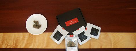 actu_24563_vignette actu_24563_vignette