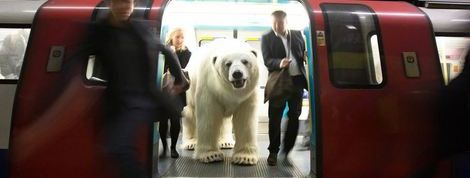 actu_24692_vignette actu_24692_vignette