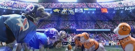 actu_24717_vignette actu_24717_vignette