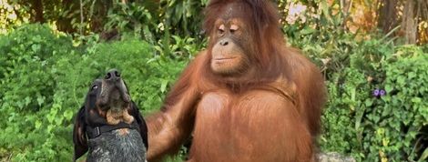 actu_24879_vignette actu_24879_vignette