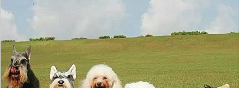 actu_25058_vignette_alaune actu_25058_vignette_alaune