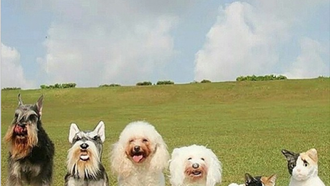 actu_25058_vignette_alaune