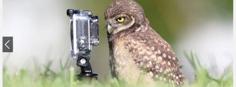 actu_25113_vignette_alaune actu_25113_vignette_alaune