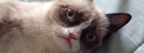 actu_25158_vignette_alaune actu_25158_vignette_alaune