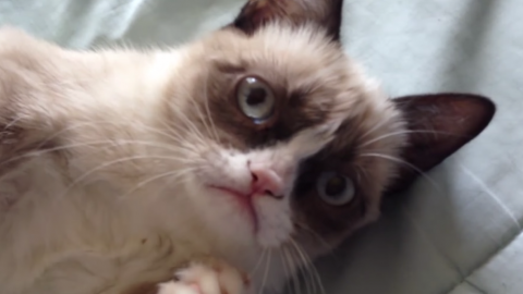 actu_25158_vignette_alaune