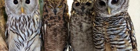 actu_25209_vignette_alaune actu_25209_vignette_alaune