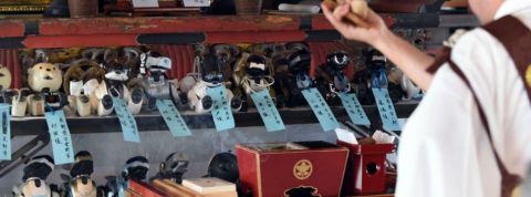 actu_25264_vignette_alaune actu_25264_vignette_alaune