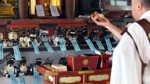 actu_25264_vignette_alaune