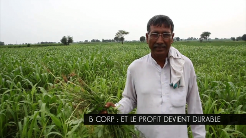 actu_25321_vignette_alaune