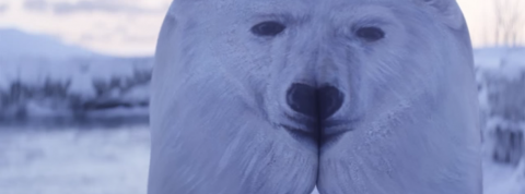 actu_25397_vignette_alaune actu_25397_vignette_alaune