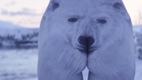 actu_25397_vignette_alaune