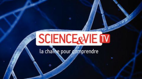 actu_25572_vignette_alaune