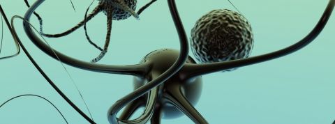 actu_25597_vignette_alaune actu_25597_vignette_alaune