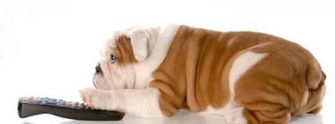 actu_25877_vignette_alaune actu_25877_vignette_alaune