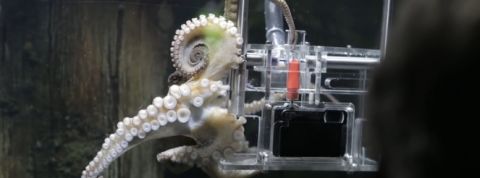 actu_25962_vignette_alaune actu_25962_vignette_alaune