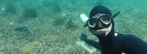 actu_26030_vignette_alaune actu_26030_vignette_alaune