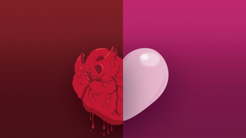 actu_26105_vignette_alaune