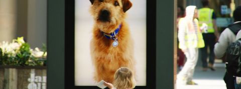 actu_26299_vignette_alaune actu_26299_vignette_alaune