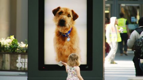 actu_26299_vignette_alaune