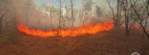 actu_26314_vignette_alaune actu_26314_vignette_alaune