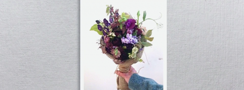 actu_26315_vignette_alaune actu_26315_vignette_alaune