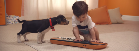 actu_26359_vignette_alaune actu_26359_vignette_alaune